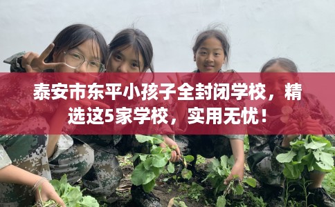 泰安市东平小孩子全封闭学校，精选这5家学校，实用无忧！
