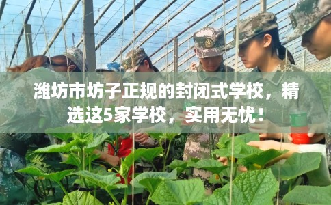 潍坊市坊子正规的封闭式学校,精选这5家学校,实用无忧! 潍坊市坊子正规的封闭式学校,精选这5家学校,实用无忧!