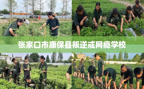 张家口市康保县叛逆戒网瘾学校 张家口市康保县叛逆戒网瘾学校