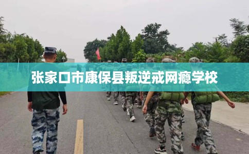 张家口市康保县叛逆戒网瘾学校 张家口市康保县叛逆戒网瘾学校