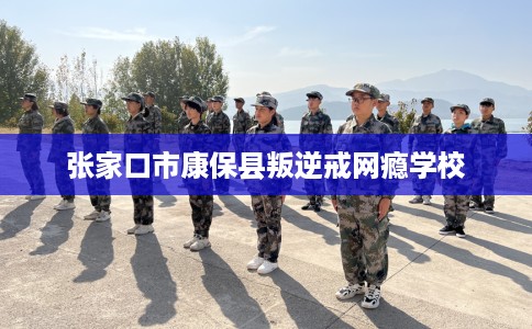 张家口市康保县叛逆戒网瘾学校 张家口市康保县叛逆戒网瘾学校