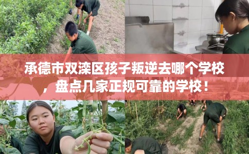 承德市双滦区孩子叛逆去哪个学校,盘点几家正规可靠的学校! 承德市双滦区孩子叛逆去哪个学校,盘点几家正规可靠的学校!