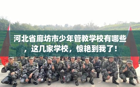 河北省廊坊市少年管教学校有哪些,这几家学校,惊艳到我了! 河北省廊坊市少年管教学校有哪些,这几家学校,惊艳到我了!