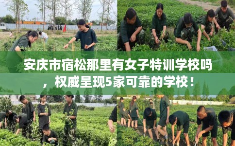 安庆市宿松那里有女子特训学校吗,权威呈现5家可靠的学校! 安庆市宿松那里有女子特训学校吗,权威呈现5家可靠的学校!