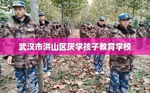 武汉市洪山区厌学孩子教育学校 武汉市洪山区厌学孩子教育学校