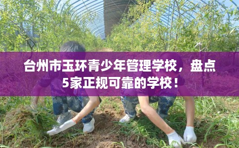 台州市玉环青少年管理学校,盘点5家正规可靠的学校! 台州市玉环青少年管理学校,盘点5家正规可靠的学校!