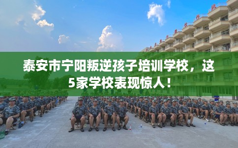泰安市宁阳叛逆孩子培训学校,这5家学校表现惊人! 泰安市宁阳叛逆孩子培训学校,这5家学校表现惊人!