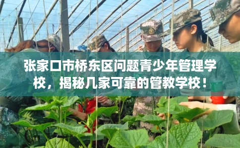 张家口市桥东区问题青少年管理学校,揭秘几家可靠的管教学校! 张家口市桥东区问题青少年管理学校,揭秘几家可靠的管教学校!