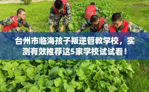 台州市临海孩子叛逆管教学校,实测有效推荐这5家学校试试看! 台州市临海孩子叛逆管教学校,实测有效推荐这5家学校试试看!