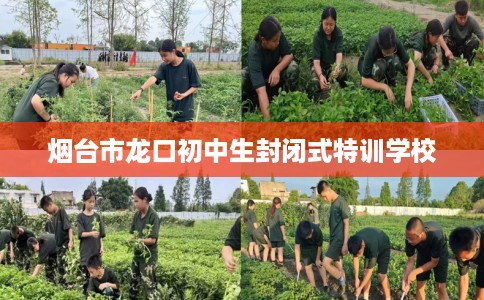 烟台市龙口初中生封闭式特训学校 烟台市龙口初中生封闭式特训学校