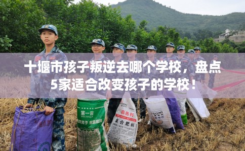 十堰市孩子叛逆去哪个学校，盘点5家适合改变孩子的学校！