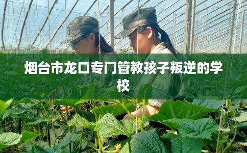 烟台市龙口专门管教孩子叛逆的学校 烟台市龙口专门管教孩子叛逆的学校