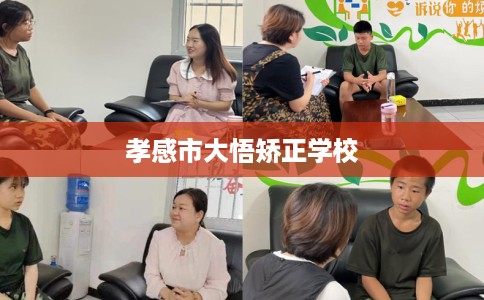 孝感市大悟矫正学校 孝感市大悟矫正学校