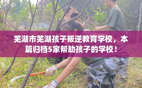 芜湖市芜湖孩子叛逆教育学校,本篇归档5家帮助孩子的学校! 芜湖市芜湖孩子叛逆教育学校,本篇归档5家帮助孩子的学校!