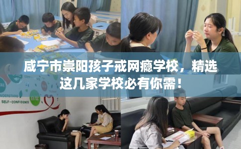 咸宁市崇阳孩子戒网瘾学校,精选这几家学校必有你需! 咸宁市崇阳孩子戒网瘾学校,精选这几家学校必有你需!
