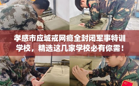 孝感市应城戒网瘾全封闭军事特训学校,精选这几家学校必有你需! 孝感市应城戒网瘾全封闭军事特训学校,精选这几家学校必有你需!