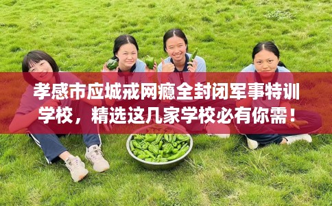 孝感市应城戒网瘾全封闭军事特训学校,精选这几家学校必有你需! 孝感市应城戒网瘾全封闭军事特训学校,精选这几家学校必有你需!