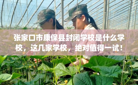 张家口市康保县封闭学校是什么学校,这几家学校,绝对值得一试! 张家口市康保县封闭学校是什么学校,这几家学校,绝对值得一试!