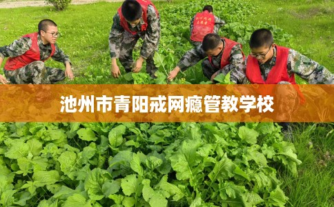 池州市青阳戒网瘾管教学校 池州市青阳戒网瘾管教学校