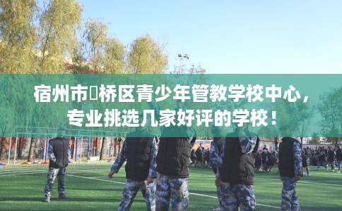 宿州市埇桥区青少年管教学校中心,专业挑选几家好评的学校! 宿州市埇桥区青少年管教学校中心,专业挑选几家好评的学校!