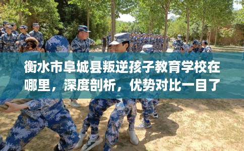 衡水市阜城县叛逆孩子教育学校在哪里,深度剖析,优势对比一目了然! 衡水市阜城县叛逆孩子教育学校在哪里,深度剖析,优势对比一目了然!