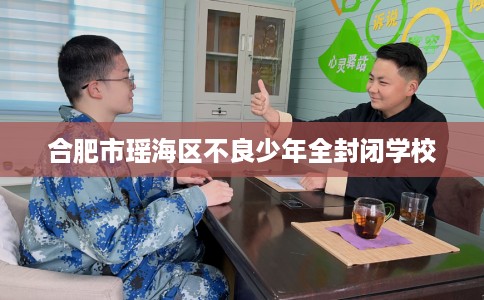 合肥市瑶海区不良少年全封闭学校 合肥市瑶海区不良少年全封闭学校