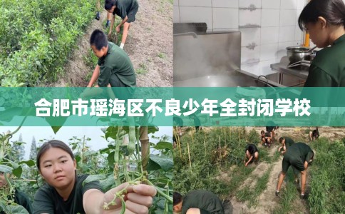 合肥市瑶海区不良少年全封闭学校 合肥市瑶海区不良少年全封闭学校