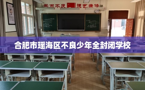 合肥市瑶海区不良少年全封闭学校 合肥市瑶海区不良少年全封闭学校