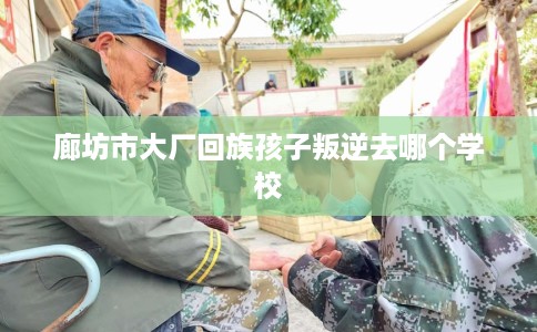 廊坊市大厂回族孩子叛逆去哪个学校 廊坊市大厂回族孩子叛逆去哪个学校