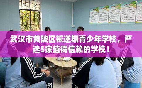 武汉市黄陂区叛逆期青少年学校,严选5家值得信赖的学校! 武汉市黄陂区叛逆期青少年学校,严选5家值得信赖的学校!