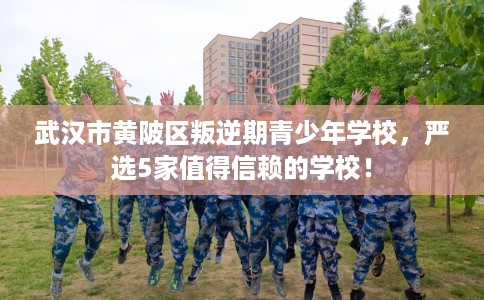 武汉市黄陂区叛逆期青少年学校,严选5家值得信赖的学校! 武汉市黄陂区叛逆期青少年学校,严选5家值得信赖的学校!