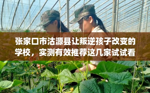 张家口市沽源县让叛逆孩子改变的学校,实测有效推荐这几家试试看! 张家口市沽源县让叛逆孩子改变的学校,实测有效推荐这几家试试看!