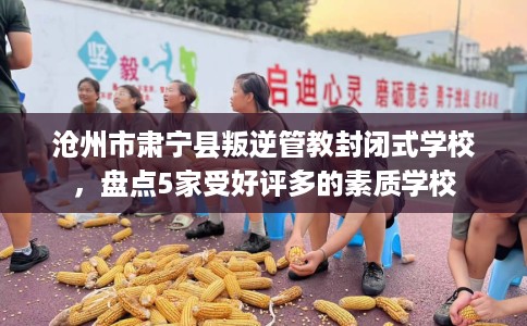 沧州市肃宁县叛逆管教封闭式学校,盘点5家受好评多的素质学校 沧州市肃宁县叛逆管教封闭式学校,盘点5家受好评多的素质学校