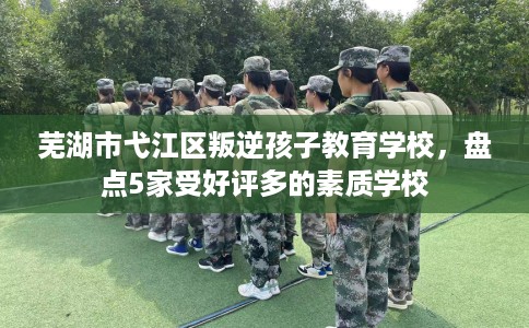 芜湖市弋江区叛逆孩子教育学校,盘点5家受好评多的素质学校 芜湖市弋江区叛逆孩子教育学校,盘点5家受好评多的素质学校