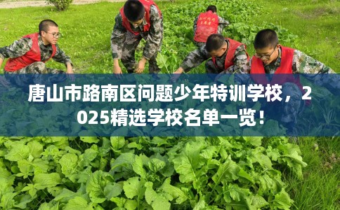 唐山市路南区问题少年特训学校,2025精选学校名单一览! 唐山市路南区问题少年特训学校,2025精选学校名单一览!