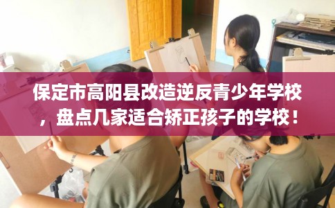保定市高阳县改造逆反青少年学校，盘点几家适合矫正孩子的学校！