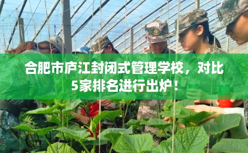 合肥市庐江封闭式管理学校，对比5家排名进行出炉！