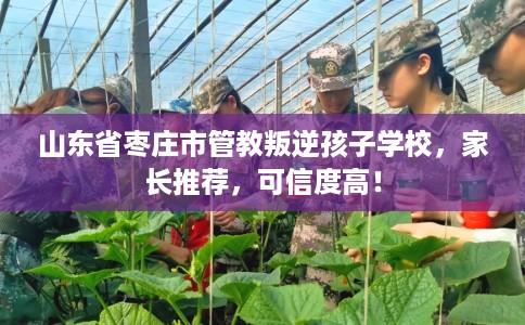 山东省枣庄市管教叛逆孩子学校,家长推荐,可信度高! 山东省枣庄市管教叛逆孩子学校,家长推荐,可信度高!