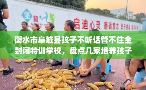 衡水市阜城县孩子不听话管不住全封闭特训学校,盘点几家培养孩子独立能力学校! 衡水市阜城县孩子不听话管不住全封闭特训学校,盘点几家培养孩子独立能力学校!
