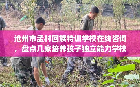 沧州市孟村回族特训学校在线咨询,盘点几家培养孩子独立能力学校! 沧州市孟村回族特训学校在线咨询,盘点几家培养孩子独立能力学校!