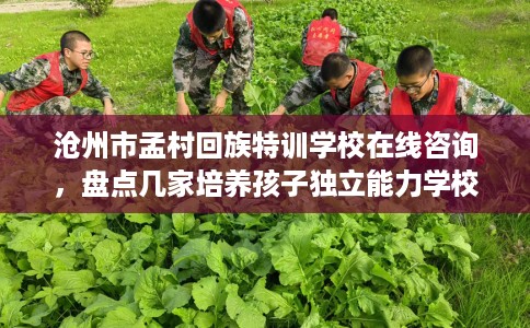 沧州市孟村回族特训学校在线咨询,盘点几家培养孩子独立能力学校! 沧州市孟村回族特训学校在线咨询,盘点几家培养孩子独立能力学校!