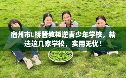 宿州市埇桥管教叛逆青少年学校,精选这几家学校,实用无忧! 宿州市埇桥管教叛逆青少年学校,精选这几家学校,实用无忧!