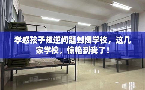 孝感孩子叛逆问题封闭学校，这几家学校，惊艳到我了！