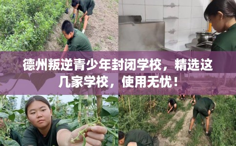 德州叛逆青少年封闭学校，精选这几家学校，使用无忧！