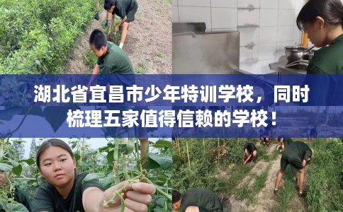 湖北省宜昌市少年特训学校,同时梳理五家值得信赖的学校! 湖北省宜昌市少年特训学校,同时梳理五家值得信赖的学校!
