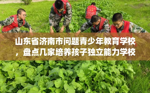 山东省济南市问题青少年教育学校,盘点几家培养孩子独立能力学校! 山东省济南市问题青少年教育学校,盘点几家培养孩子独立能力学校!