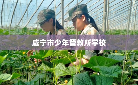 咸宁市少年管教所学校 咸宁市少年管教所学校