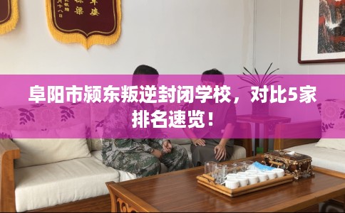 阜阳市颍东叛逆封闭学校,对比5家排名速览! 阜阳市颍东叛逆封闭学校,对比5家排名速览!