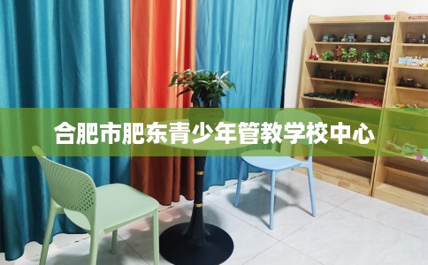 合肥市肥东青少年管教学校中心 合肥市肥东青少年管教学校中心