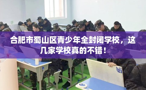 合肥市蜀山区青少年全封闭学校,这几家学校真的不错! 合肥市蜀山区青少年全封闭学校,这几家学校真的不错!